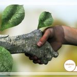 فواید اهلی کردن گیاهان