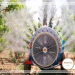 سمپاشی درختان بادام با آنامل