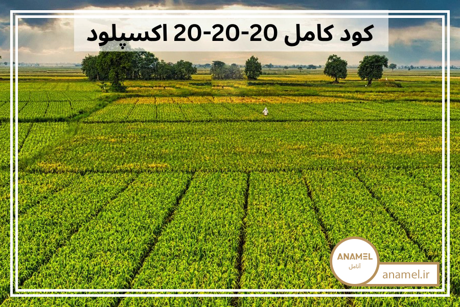 کود 20-20-20 شوک