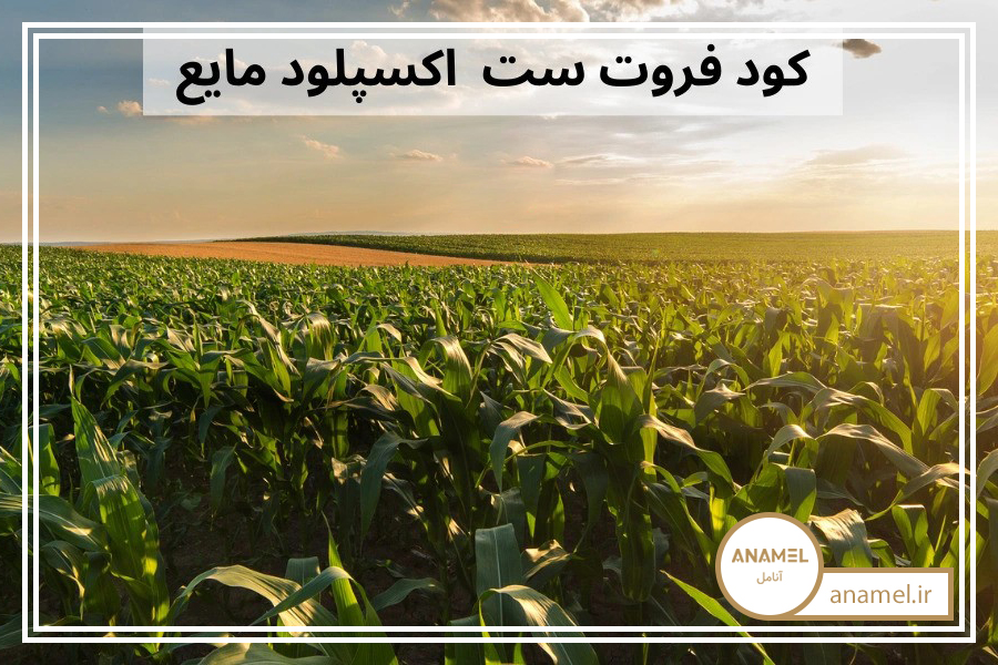 کود فروت ست اکسپلود مایع