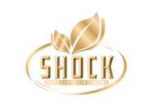 شوک shock