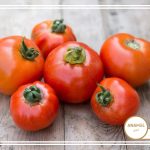 نحوه پرورش گوجه فرنگی