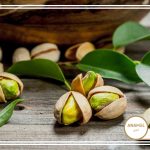 نحوه پرورش پسته