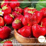 نحوه پرورش توت فرنگی و کودهای مناسب آن