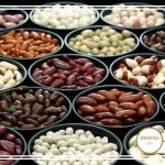 معرفی انواع لوبیاهای بازار