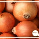 راهنمای کاشت نشا پیاز