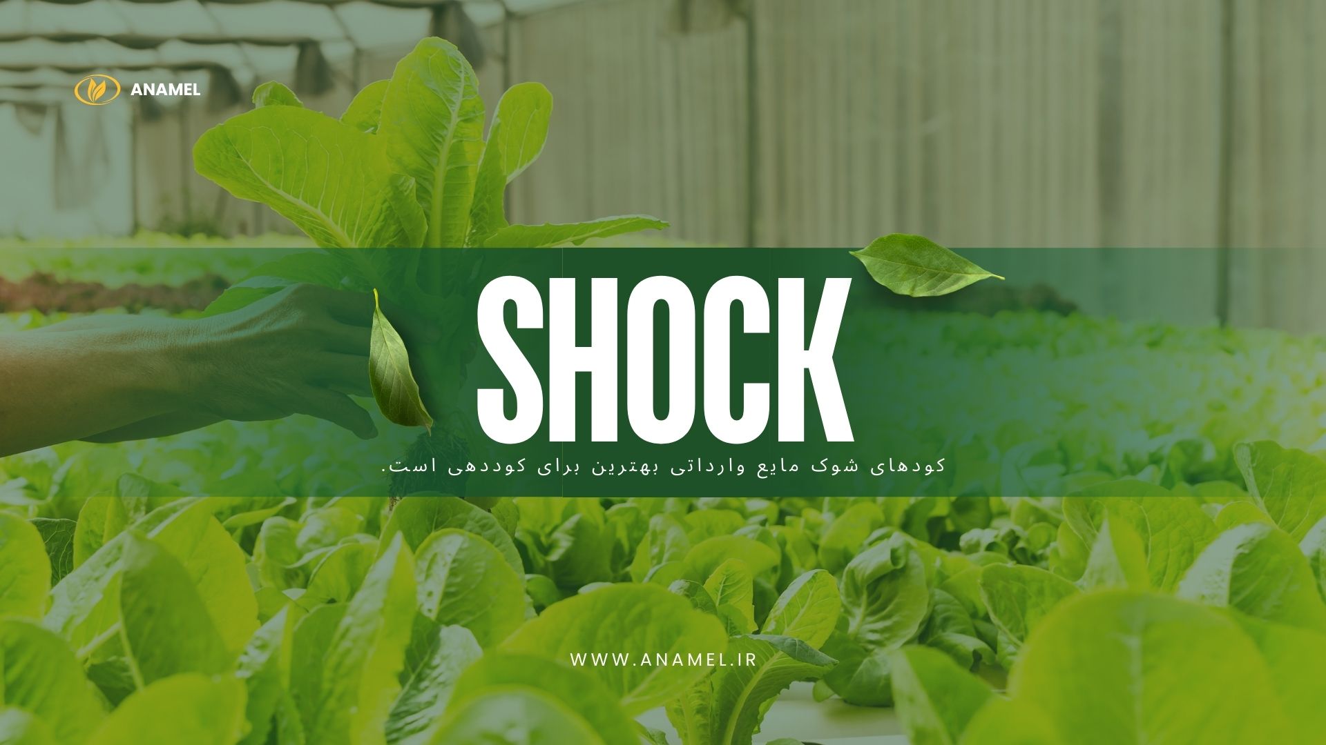 کود مناسب اصلاح و تقویت خاک