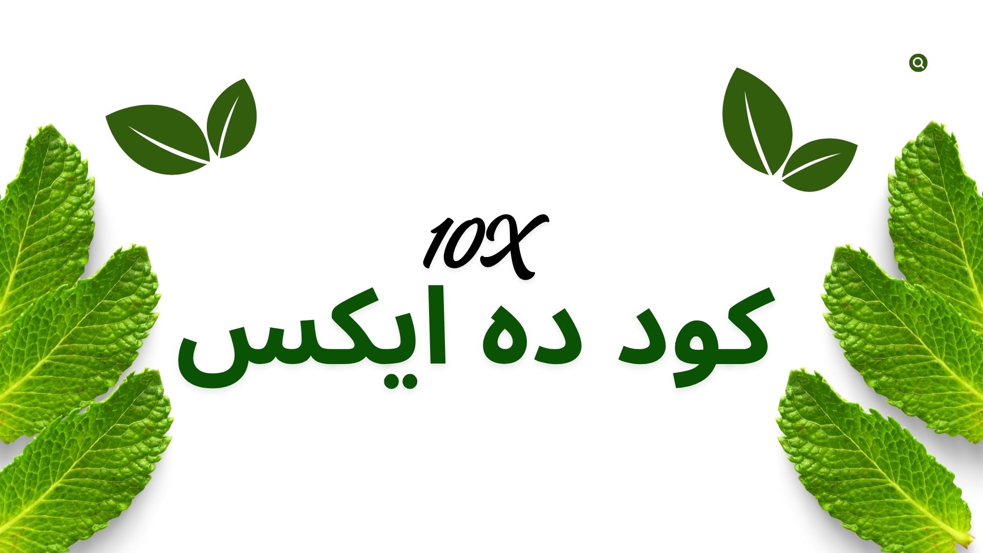 بهترین کود نانو 1404 برای رشد و افزایش تناژ. 