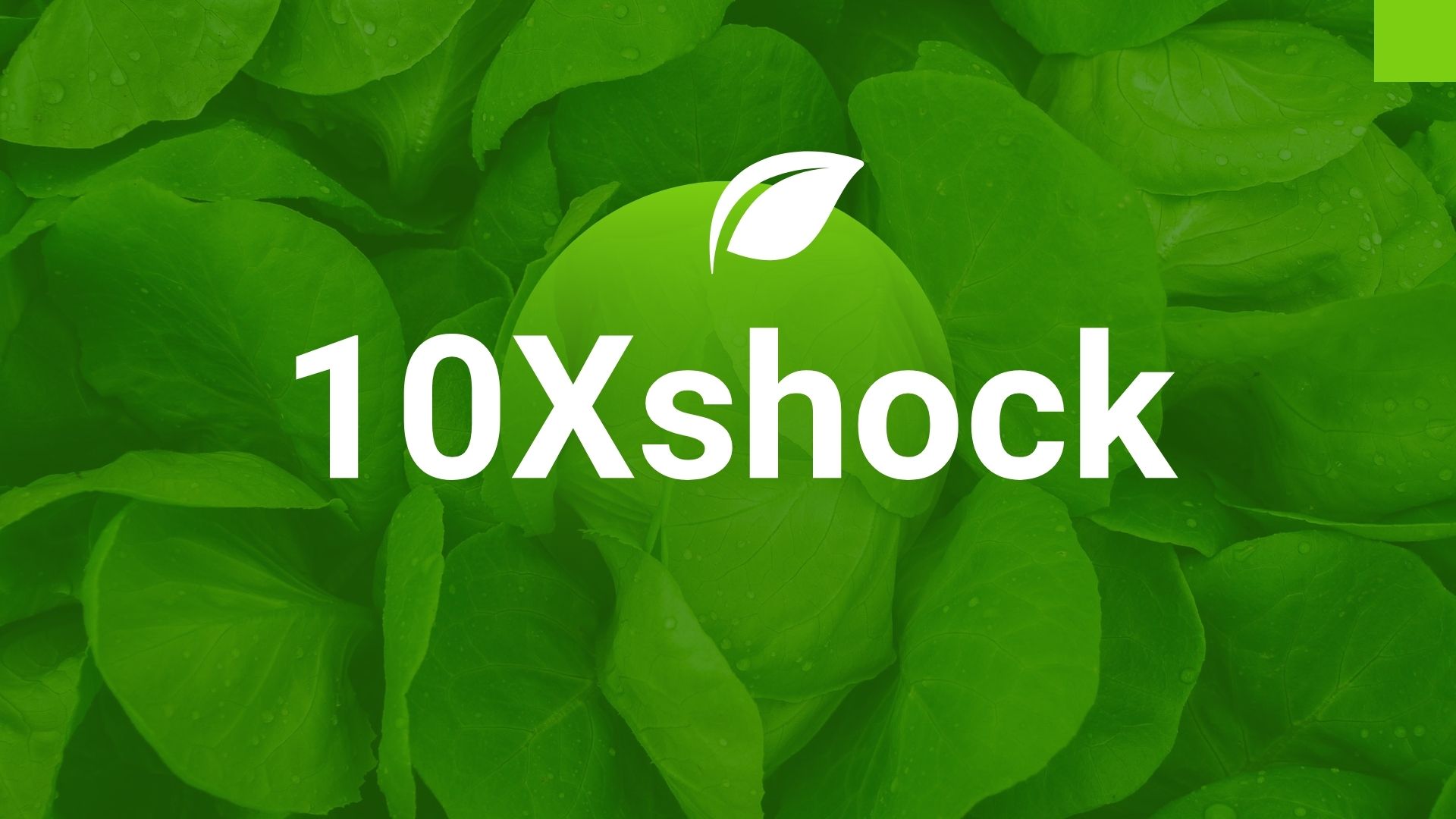 قیمت های 10X بهترین هزینه های برای کوددهی.