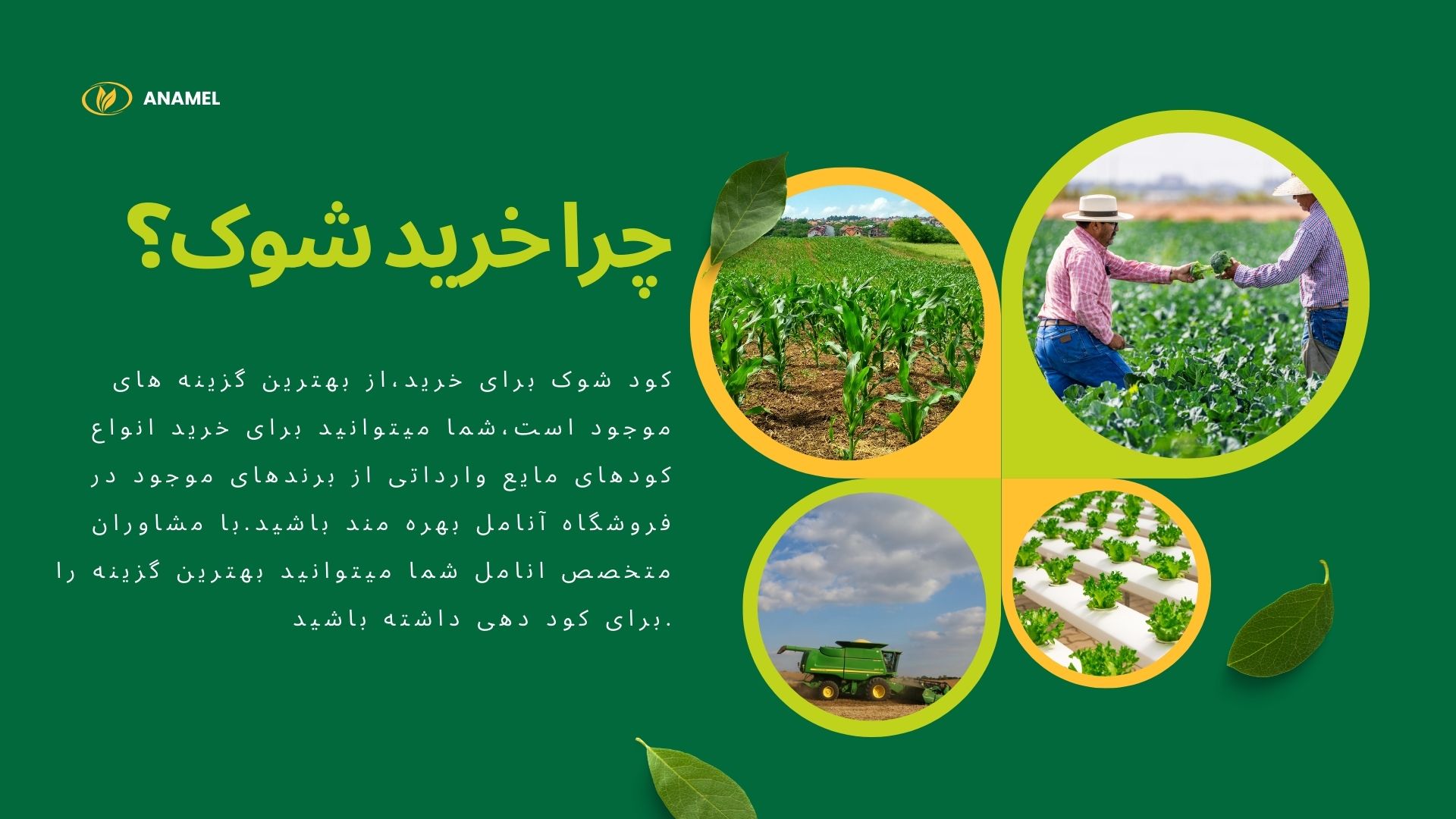 بنر دسته بندی