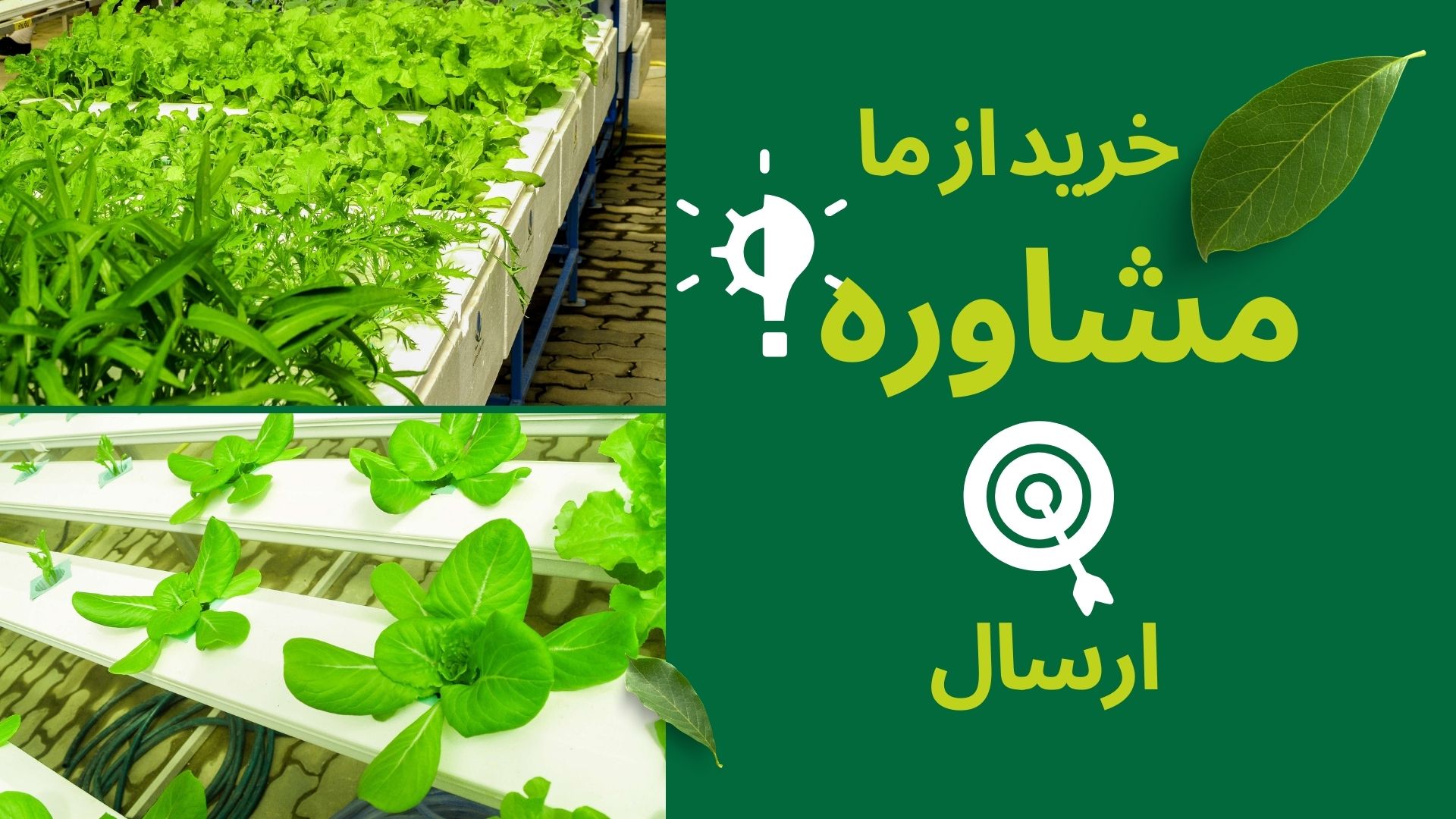 بنر دسته بندی
