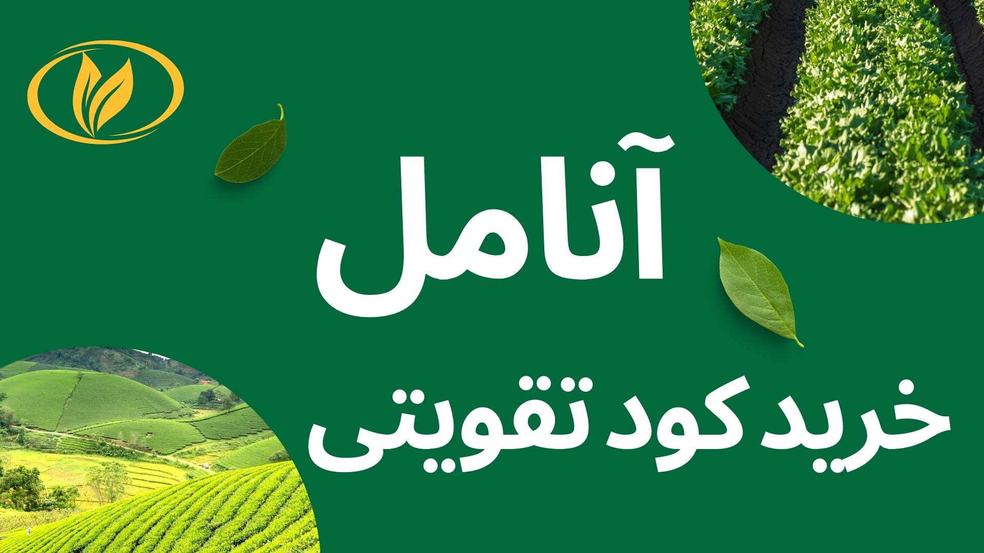 کود مناسب آفت و بیماری