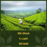 مزایای 10 ایکس و خرید آن.