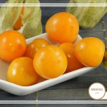 نحوه پرورش انگورک