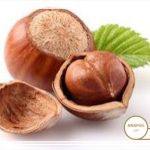 نحوه پرورش فندق