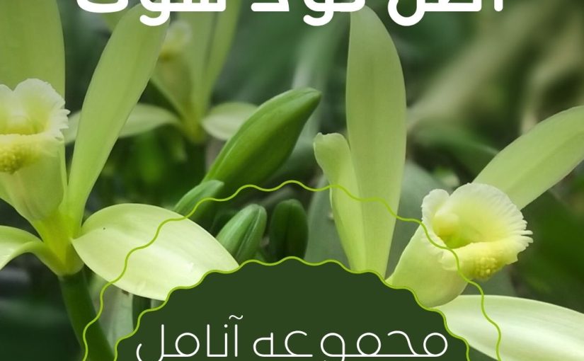اصل کود شوک برای خرید با ضمانت 100 درصدی