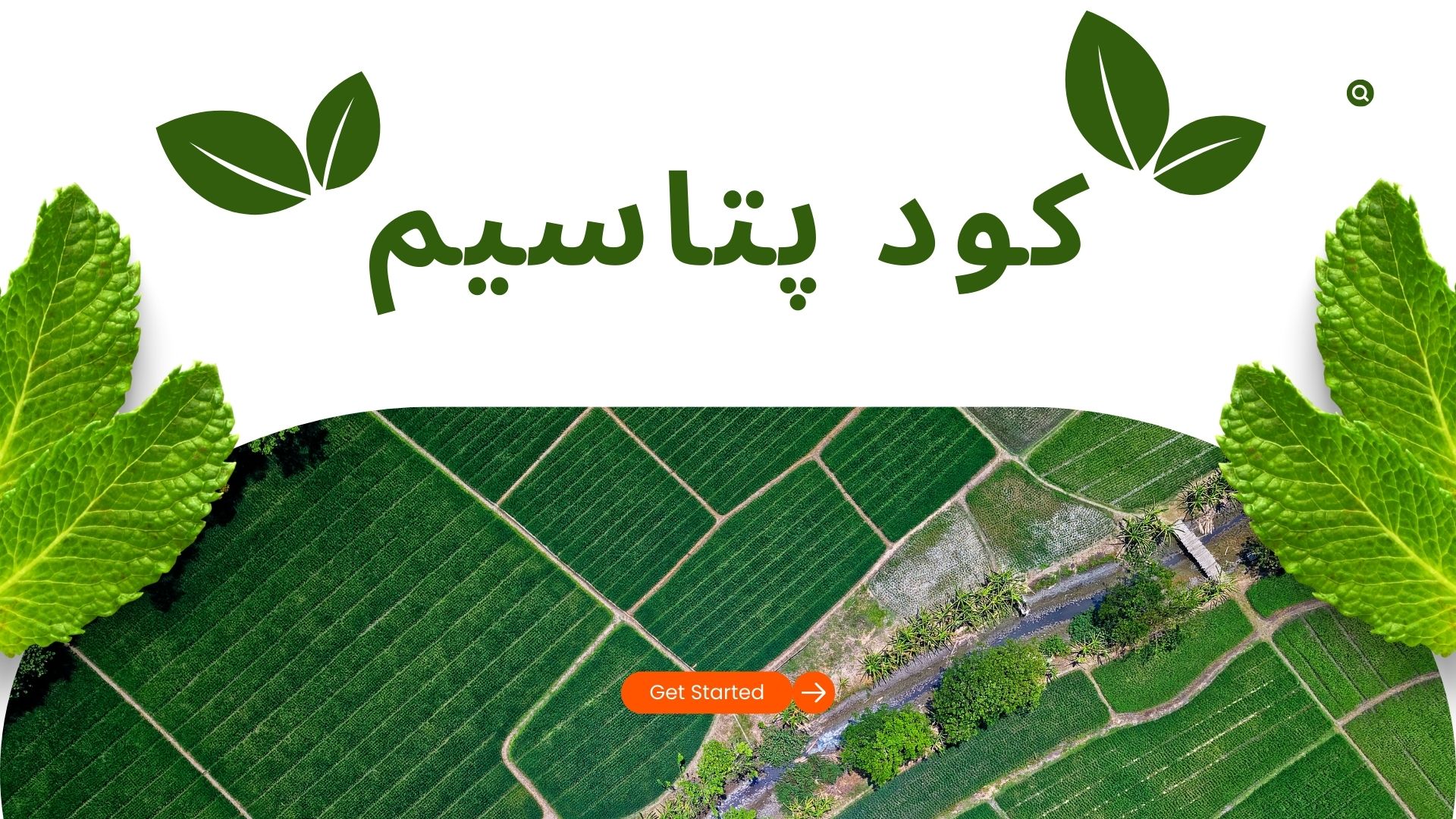 بنر دسته بندی