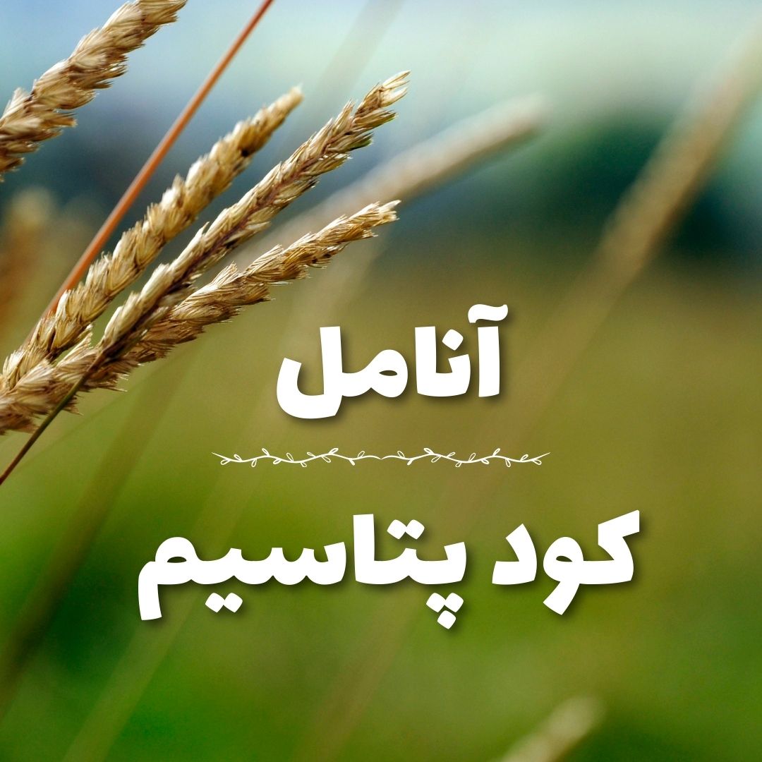 کود مناسب درختان