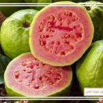 آموزش کاشت درخت گواوا