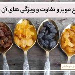 انواع مویز و ویژگیهای آنها