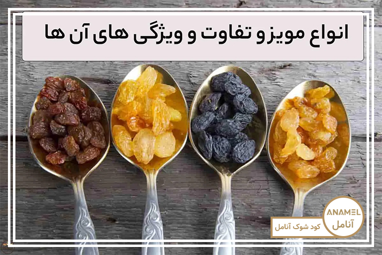 انواع مویز و ویژگیهای آنها