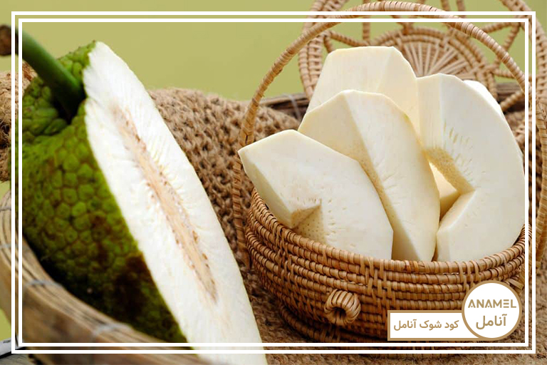 نحوه پرورش میوه نان