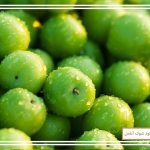 پرورش درخت گوجه سبز