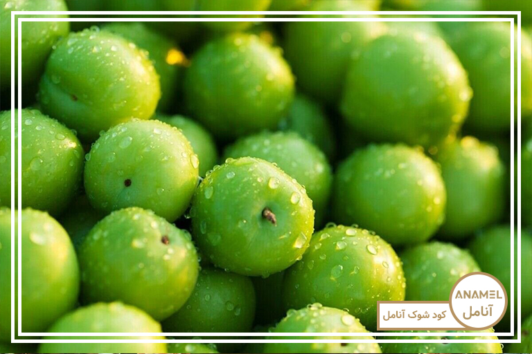 پرورش درخت گوجه سبز