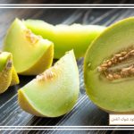 پرورش ملون در مشهد