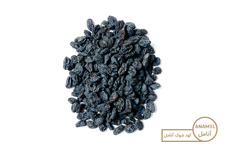 پرورش مویز در مشهد