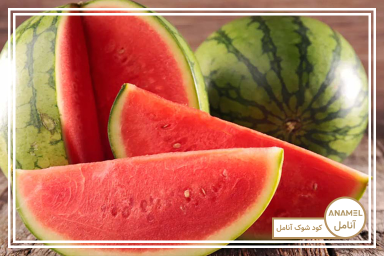 پرورش هندوانه در مشهد