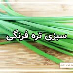 کشت سبزی تره فرنگی