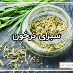 نحوه کاشت سبزی ترخون