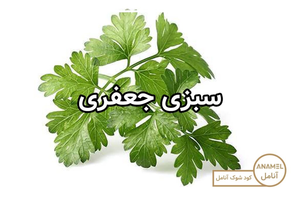 نحوه کشت سبزی جعفری