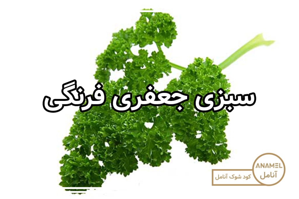 کشت سبزی جعفری فرنگی