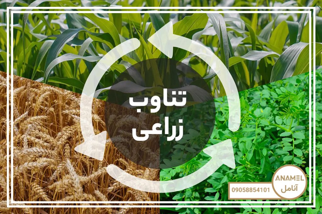 برنامه استاندارد کشت محصولات زراعی در اقلیم خراسان
