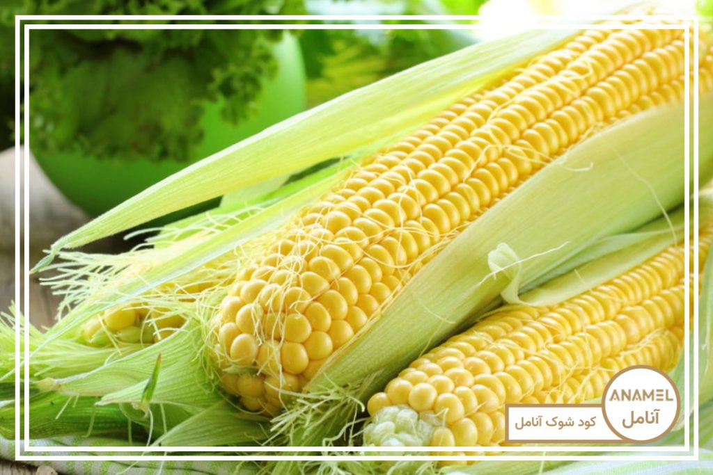برنامه کامل کوددهی ذرت