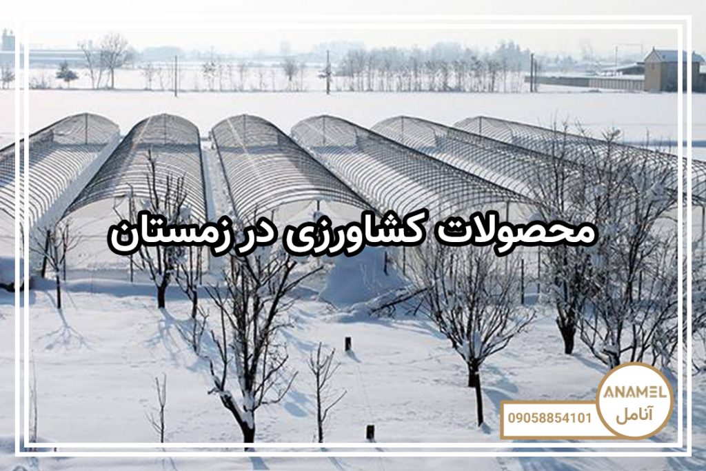 فهرست جامع محصولات کشاورزی در زمستان