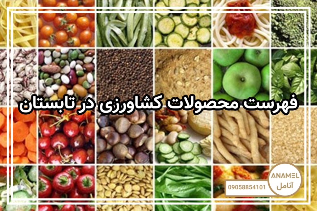 فهرست محصولات کشاورزی در تابستان