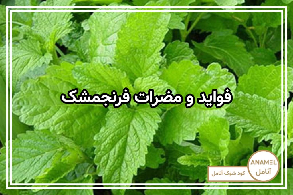 فواید و مضرات فرنجمشک