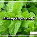 فواید و مضرات فرنجمشک