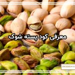 معرفی کود پسته شوک