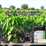 مقدار مصرف کود شوک برای هر درخت