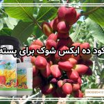 کود ده ایکس شوک برای پسته