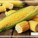 کود مخصوص ذرت شوک