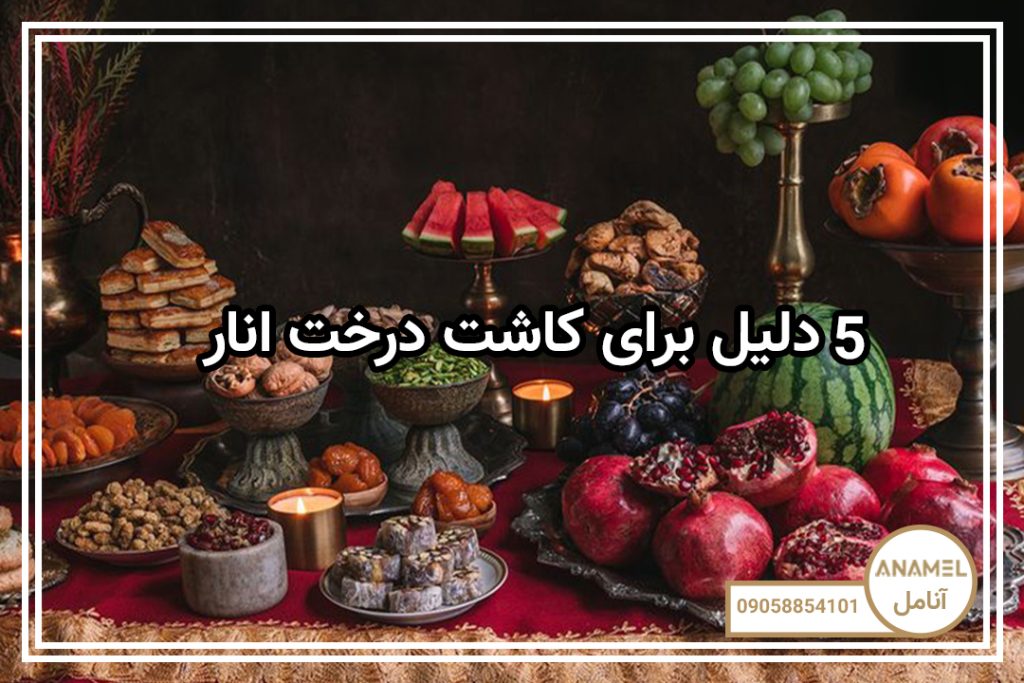5 دلیل برای کاشت درخت انار