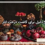 5 دلیل برای کاشت درخت انار