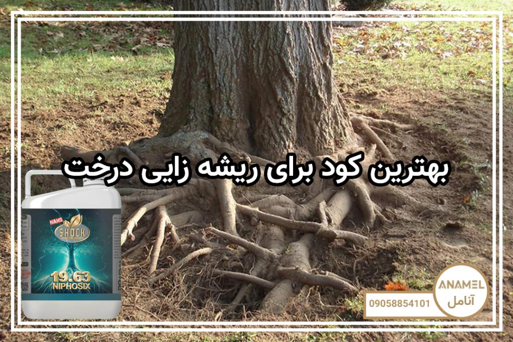 بهترین کود برای ریشه زایی درخت