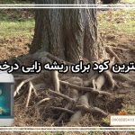 بهترین کود برای ریشه زایی درخت