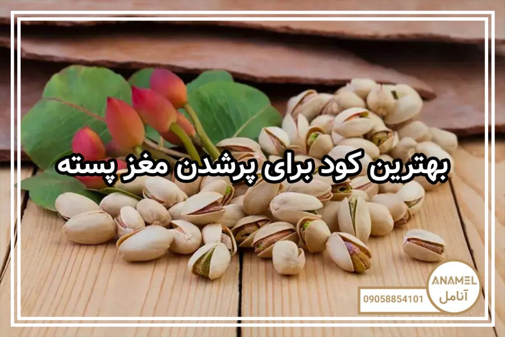 بهترین کود برای پرشدن مغز پسته